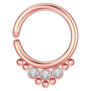 [ 18G {fBsAX] XeXzcWG V[XO {fBsAX 1 18Q[WΕt Xg[ L[rbNWRjA {fB[sAX Y fB[X O^ sNS[