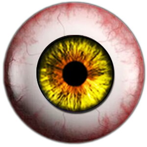 A OXAC h[ACJ{[VKXp[c 8mm 10mm 12mm 20mm 25mm ANZT[ sAX fR[V Ntg DIY nhCh J{V h[ l`  ʂ  H 