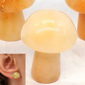 [0G 8mm VR {fB[sAX] }bV[VR΃vO(CG[WFCh) {fBsAX 1̔ AM[Ή Y fB[X _utA   p[Xg[ v[