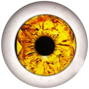 A OXAC h[ACJ{[VKXp[c 8mm 10mm 12mm 20mm 25mm ANZT[ sAX fR[V Ntg DIY nhCh J{V h[ l`  ʂ  H 