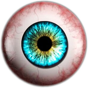 A OXAC h[ACJ{[VKXp[c 8mm 10mm 12mm 20mm 25mm ANZT[ sAX fR[V Ntg DIY nhCh J{V h[ l`  ʂ  H 