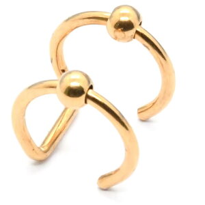 16G 2AtFCN LveBur[YO^C[Jt 1̔ mz[sAX  wbNX CO Y fB[X {fBsAX^ 16Q[W t[vsAX Vo[ C{