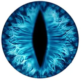 アイスドラゴンアイカボーションガラスパーツ 12mm 16mm 18mm 20mm 25mm 30mm アクセサリー ピアス イヤリング ネイル デコレーション 爪 スマホ クラフト DIY ハンドメイド 手作り 面白い カボション ドーム 人形の眼 ぬいぐるみの目 眼球 ブルー 青色 細長い