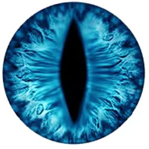 ACXhSACJ{[VKXp[c 12mm 16mm 18mm 20mm 25mm 30mm ANZT[ sAX CO lC fR[V  X}z Ntg DIY nhCh  ʔ J{V