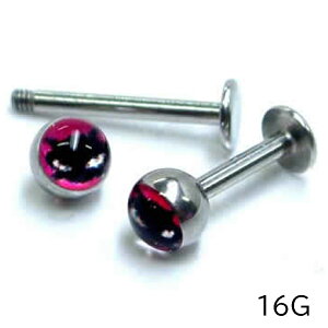ChLbgubg/16Q[W 16G lR L ˂ Aj}  ׂQ[W {fBsAX T[WJXeX316L Y fB[X AM[ tbg {[  sAX 