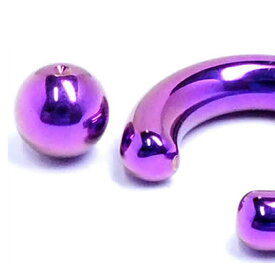 パープルチタンクリップイン（ビーズリング用）ボール ボディピアス パーツ キャッチ チタン製 20G 18G 16G 14G 12G 10G 8G 6G 4G 2G 0G 00G 紫 キャプティブビーズビーズリング用の交換用の球 リング型ボディピアス くぼみのある玉 ニッケルフリー