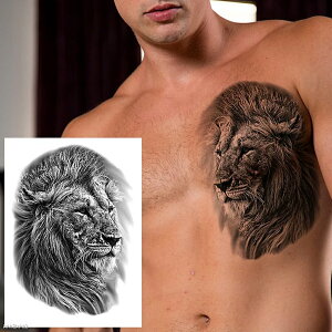 傫߃tFCN^gD[XebJ[ 1V[g q CI  Aj} ^gDV[ Y fB[X ߑ f h} er Be RXv 傫   w     