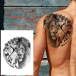 傫߃tFCN^gD[XebJ[ 1V[g v  [}io[ [} q CI  Aj} ^gDV[ Y fB[X ߑ f h} er Be RXv 