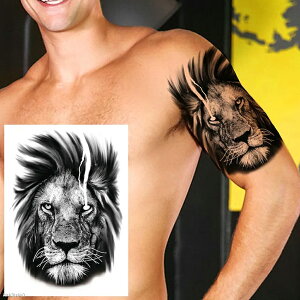 傫߃tFCN^gD[XebJ[ 1V[g { q CI  Aj} ^gDV[ Y fB[X ߑ f h} er Be RXv 傫   w     