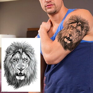 傫߃tFCN^gD[XebJ[ 1V[g q CI  Aj} ^gDV[ Y fB[X ߑ f h} er Be RXv 傫   w     