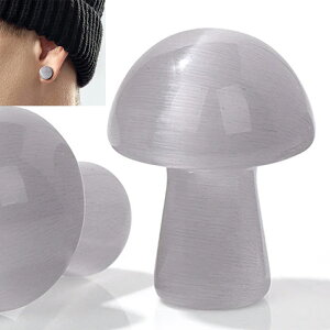 [0G 8mm VR {fB[sAX] }bV[VR΃vO(O[LbcAC) {fBsAX 1̔ DF AM[Ή Y fB[X _utA   lC 0Q[W 8~