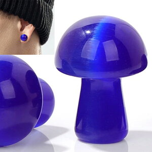 [0G 8mm VR {fB[sAX] }bV[VR΃vO(u[LbcAC) {fBsAX 1̔ F AM[Ή Y fB[X _utA   lC 0Q[W 8~