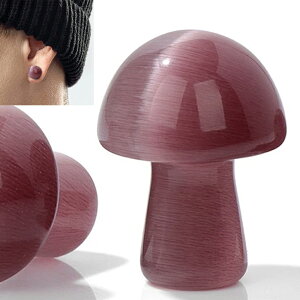 [0G 8mm VR {fB[sAX] }bV[VR΃vO(p[vLbcAC) {fBsAX 1̔ F AM[Ή Y fB[X _utA   lC 0Q[W 8~