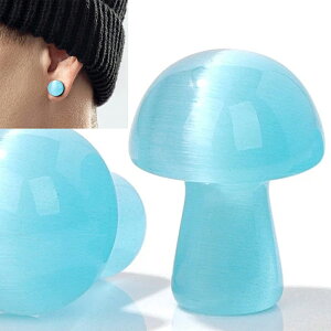 [0G 8mm VR {fB[sAX] }bV[VR΃vO(Cgu[LbcAC) {fBsAX 1̔ F AM[Ή Y fB[X _utA   lC 0Q[