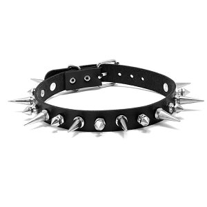 {f[W ԌXpCN tFCNU[`[J[  lbNX fB[X F ԐF ubN bh SM SVbN Ɋ xg ^Cg tBbg f RXv  I