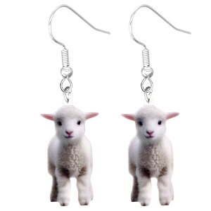 qr AXeXsAX/1yA̔ 20G 20Q[W qcW Ԃ q  Aj}  lC  IV T[WJXeX316L Y fB[X h tbNsAX