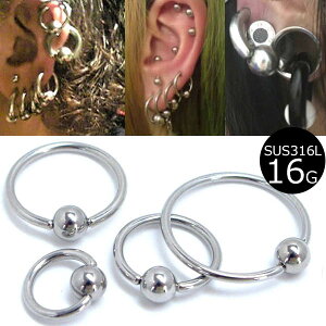 m 16G nLveBur[YO 16Q[W ׂ {fBsAX̒ T[WJXeX316L Y fB[X  wbNX gKX u  sAX O^ t@[XgsAX 