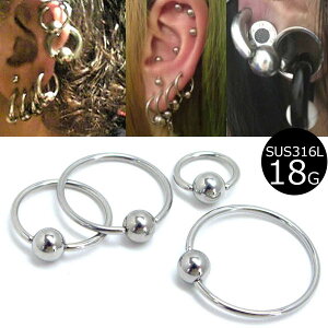 m 18G nLveBur[YO 18Q[W ׂ {fBsAX̒ T[WJXeX316L Y fB[X  wbNX gKX u  sAX O^ t@[XgsAX 