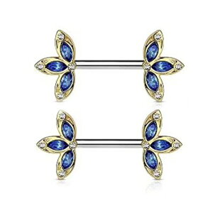 [14G Xg[go[x^ {fBsAX] S[h[t[ o[x 1̔ 14Q[W T[WJXeX316L Y fB[X NX^Tt@CAu[ {fB[sAX lW