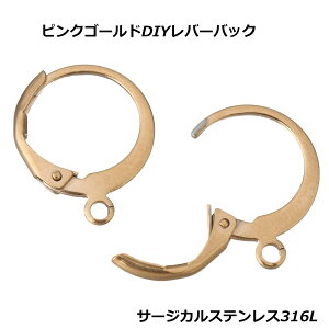 sNS[hXeXo[obNiOj/1̔ DIY  T[WJXeX316L nhCh XeXsAXp[c t[vO OsAX t[vsAX h  