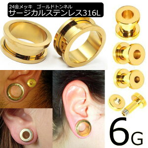 [ 6G lW 24bL {fBsAX ] S[hgl 6Q[W 6ga {fB[sAX T[WJXeX316L z[n AM[ Y fB[X lW^Cv XN[ yǌ^ v