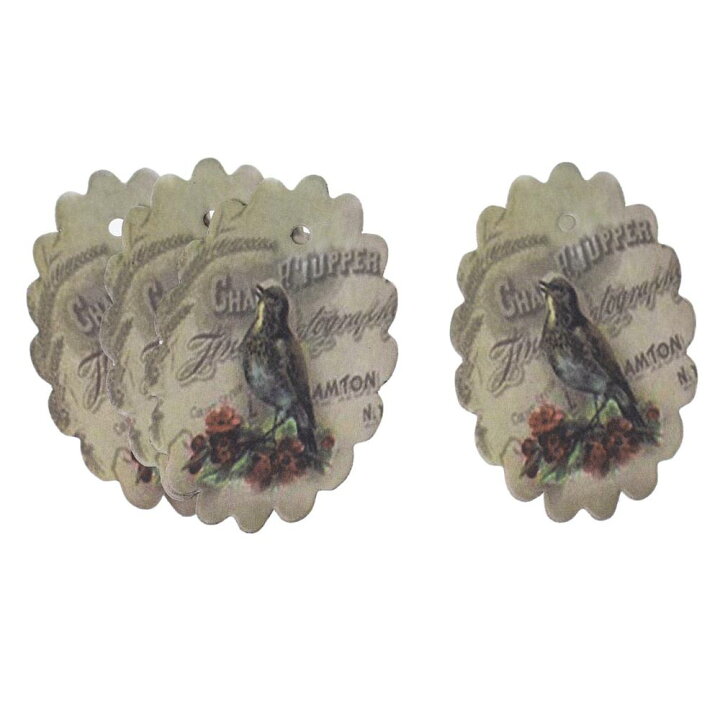 楽天市場】60mmx40mm絵本ペーパータグ5枚セット ピアス台紙  