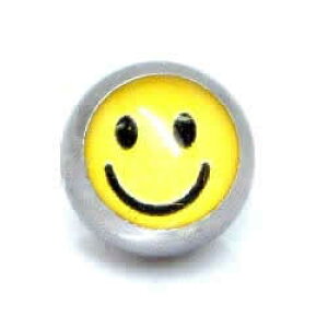 X}C NbvC{[ 8mm 1̔ {fBsAX p[c Lb` T[WJXeX316L 20G 18G 16G 14G 12G 10G 8G 6G 4G 2G 0G 00G ɂ X}CN LveBur[Yr[Y