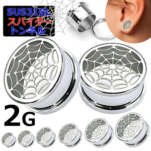 [ 2G  {fBsAX ] XpC_[EFugl 2Q[W 2ga {fB[sAX w偂̑ N̑  T[WJXeX316L Y fB[X yǌ^ lW lW^Cv  vO