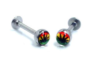 X^KWubg/16Q[W 16G }t@i X^J[ ׂQ[W {fBsAX T[WJXeX316L Y fB[X AM[ tbg {[  sAX A