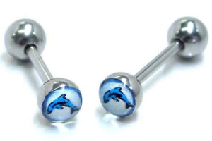 [ 14G ] eeX Xg[go[x 14Q[W {fBsAX  wbNX gKX sAX ^s T[WJXeX316L Y fB[X t@[XgsAX C_X aTCY 