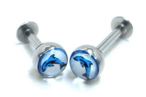 eeXubg/14Q[W 14G CJ htB }  ʂ̃TCY ʓI ԃTCY {fBsAX T[WJXeX316L Y fB[X AM[ tbg {[