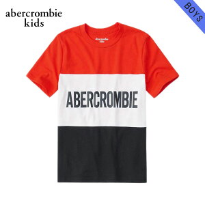 �A�o�N���L�b�Y T�V���c �{�[�C�Y �q���� ���K�i AbercrombieKids ����T�V���c �N���[�l�b�NT�V���c colorblock logo tee 223-619-0124-050