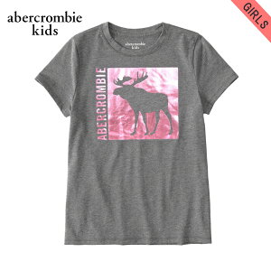 �A�o�N���L�b�Y T�V���c �q���� ���K�i AbercrombieKids ����T�V���c exploded icon tee 257-0891-0108-010