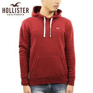 �z���X�^�[ �p�[�J�[ �����Y ���K�i HOLLISTER �v���I�[�o�[�p�[�J�[ ���S Logo Hoodie 322-221-0887-520
