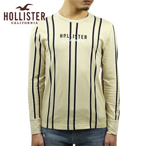�z���X�^�[ ����T �����Y ���K�i HOLLISTER ����T�V���c �N���[�l�b�NT�V���c �X�g���C�v Stripe Logo Graphic Tee 323-243-2613-404