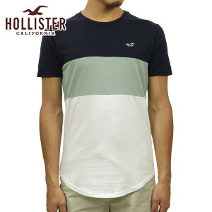 ホリスターtシャツ メンズtシャツ カットソー 通販 人気ランキング 価格 Com