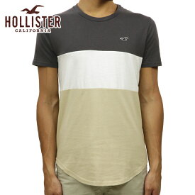 ホリスター Tシャツ メンズ 正規品 HOLLISTER 半袖Tシャツ クルーネックTシャツ カーブヘム Colorblock Curved Hem T-Shirt 324-368-0646-112