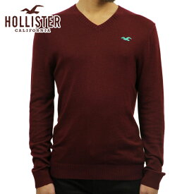 ホリスター セーター メンズ 正規品 HOLLISTER Iconic V-Neck Sweater 320-201-0295-520 D20