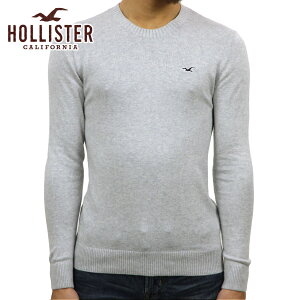 �z���X�^�[ �Z�[�^�[ �����Y ���K�i HOLLISTER �N���[�l�b�N�Z�[�^�[ Lightweight Crewneck Sweater 320-201-0661-178