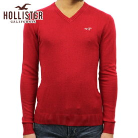 【ポイント10倍 4/24 20:00～4/27 9:59】 ホリスター セーター メンズ 正規品 HOLLISTER Vネックセーター Lightweight V-Neck Sweater 320-201-0636-502