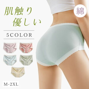 yNEWzV[c fB[X  Rbg 5Zbg   ȃp pc Kۂ ɗD K R ʋC Lk 킢 n Xgb` Vv iCgV[c 傫TC