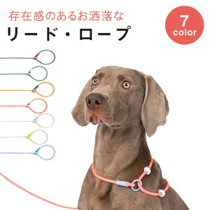 y10OFFN[|Ώہz^p[h PppXbv[h Eh~ ^p lbNXbvn[lX n[lX_u~bgfUC P[h ybgpi `F[ 