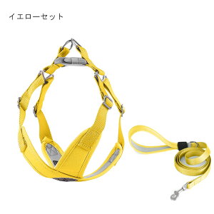 yP5{BF10%OFFzn[lX  Ȃ ^ p   ȒP  y S  Ȃ X^n[lX ɂ ybg  bVn[lX ʋC xXg^n[