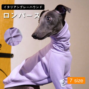 yԌFP5{+10%OFFzC^AO[nEh H~   C^O   nClbN p[X hbOEFA H ~ Lт