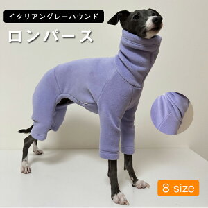 y労ӍՁIP5{+10%OFFzC^AO[nEh H~   C^O   nClbN p[X hbOEFA H ~ Lт