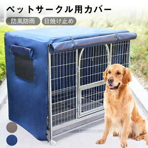 y24hISiP5+10%OFFzybgphCuV[g TChhAیJo[ 2Zbg hAveN^[ hCuybgK[h ܏ C菝 ꂩ狭͂ɖh ȒP J[pi EZ