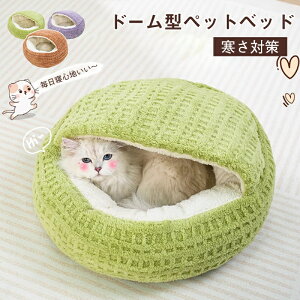 yT聚P5+10%OFFzybg nEX ybgnEX h[^  nEX  킢 H ~ ܂肽 ybgxbh L nEX p nEX g ӂӂ t ۉ 