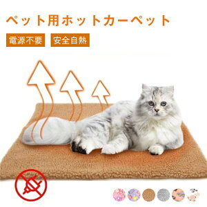 yԌő10OFFzybgp zbg}bg dCsv ̉Œ~M 􂦂 ybg}bg }bg ybg  L p }bg ۉ ΍ ~ObY 炩   g 