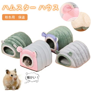 yԌFP5{+10%OFFznX^[ xbh nEX ~  bg Q Q h[^ 􂦂 z NbV VM[ _炩  nX^[ nlY~  xbh h 