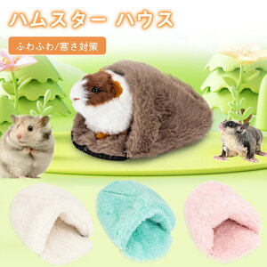 yԌFP5{+10%OFFzybgnEX ۉ ETM nX^[ nEX  bg Q Q h[^ 􂦂 z _炩  nlY~  xbh h  ΍ 